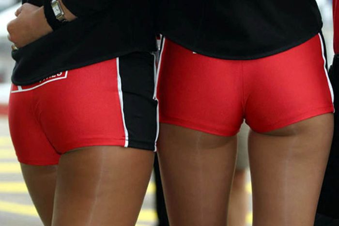 Стройные девушки с гонок F1 (101 фото)