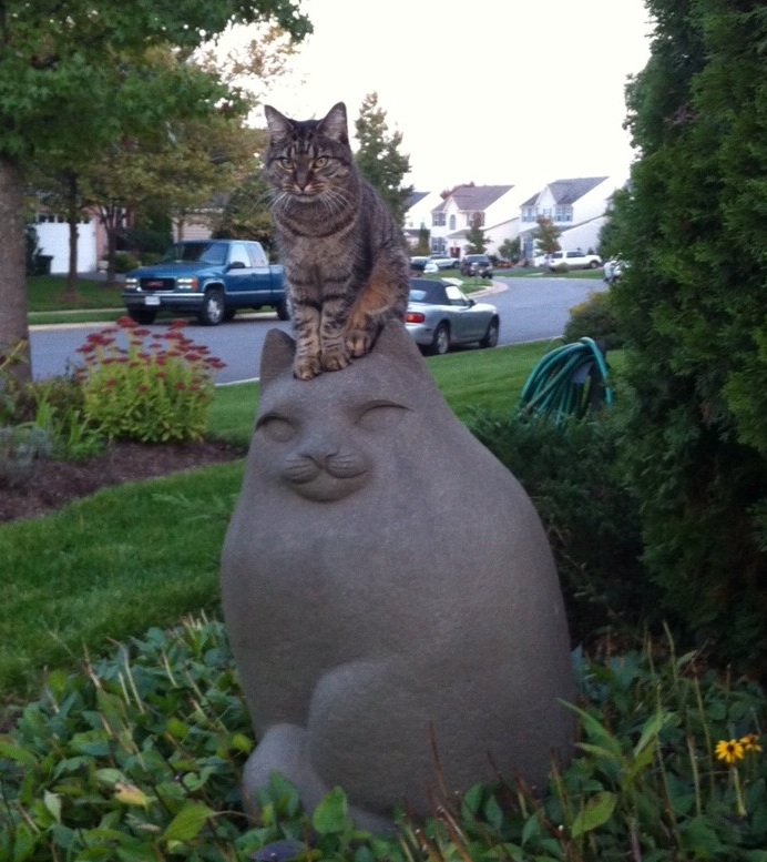 Классные животные.