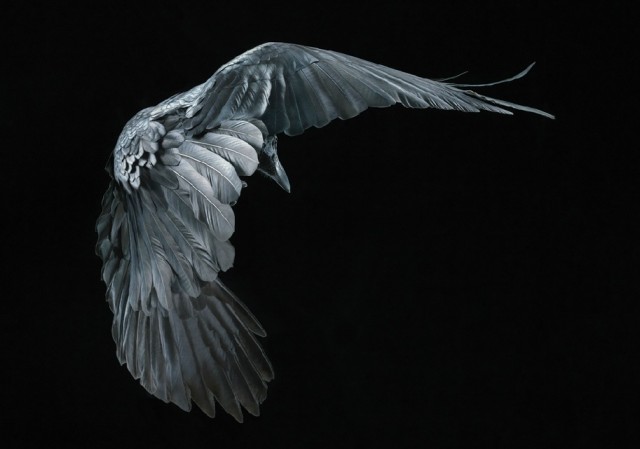 Классные животные.