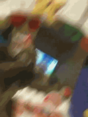 Прикольныеи забавные анимированные гифки.