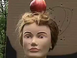 Прикольныеи забавные анимированные гифки.