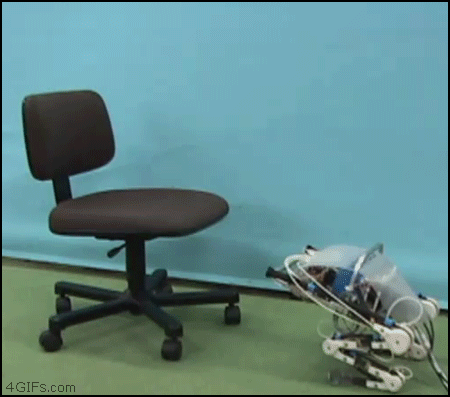 Прикольныеи забавные анимированные гифки.