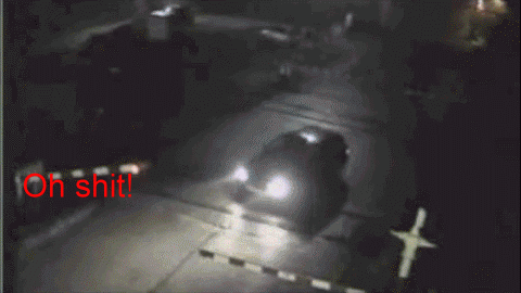 Прикольныеи забавные анимированные гифки.