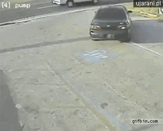 Прикольныеи забавные анимированные гифки.