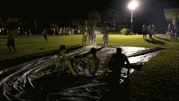 Прикольныеи забавные анимированные гифки.