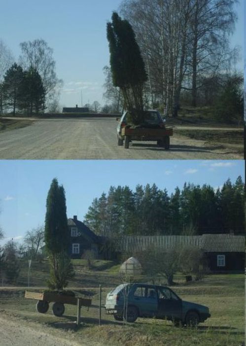 Только в Латвии (47 фото)
