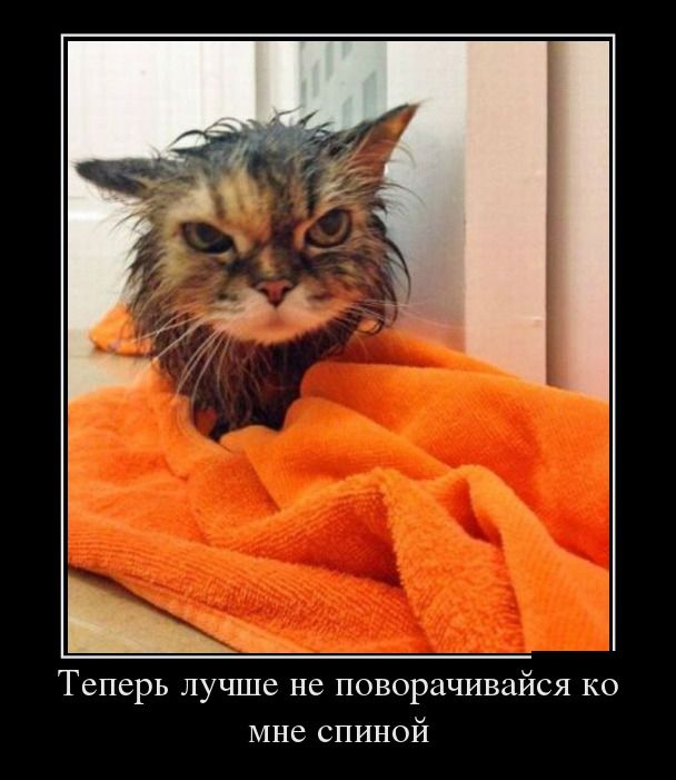 Демотиваторы (30 фото)