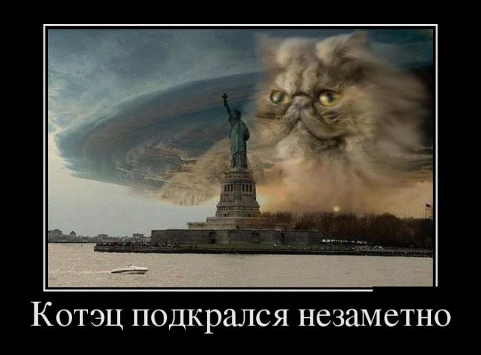 Демотиваторы (30 фото)