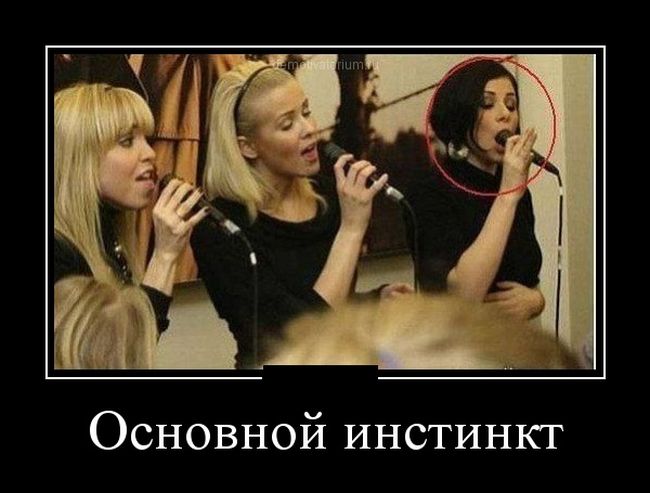 Демотиваторы (30 фото)