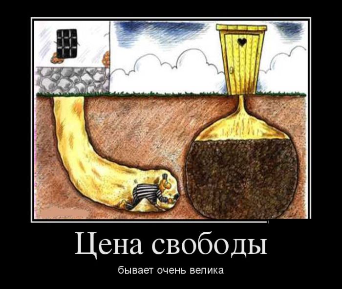 Демотиваторы (30 фото)