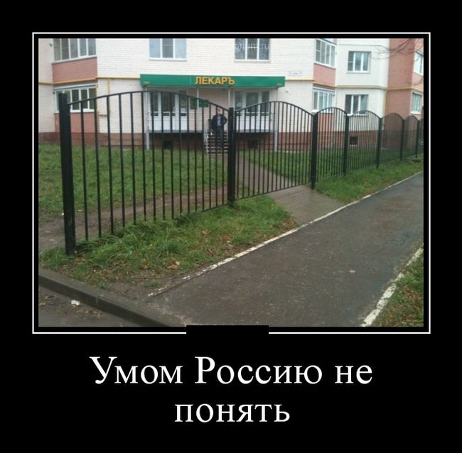 Демотиваторы (30 фото)