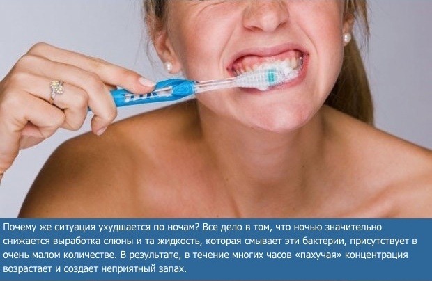 Зачем нужно чистить зубы по утрам (5 фото)