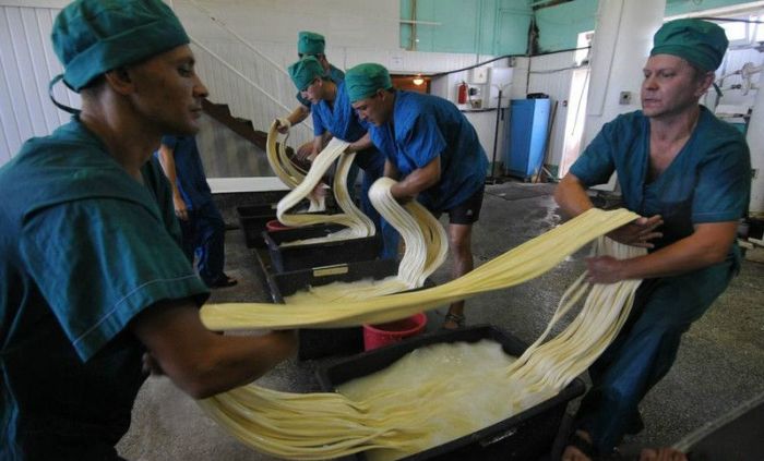 Как производится сыр сулугуни (18 фото)