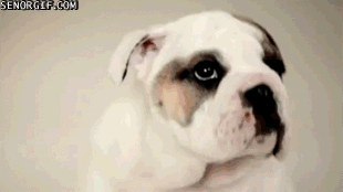 Прикольные мини видео ролики