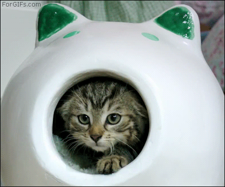 Прикольные мини видео ролики