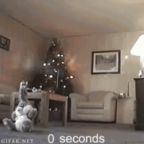 Прикольные мини видео ролики