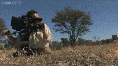 Прикольные мини видео ролики