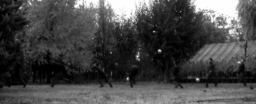 Прикольные мини видео ролики