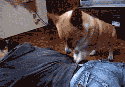 Прикольные мини видео ролики