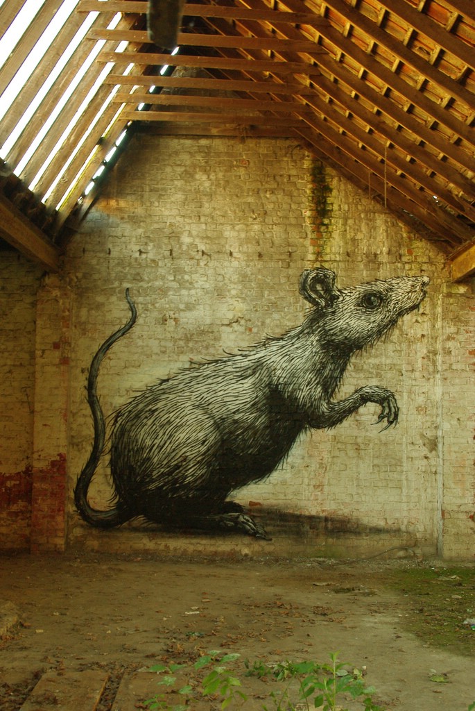 ROA - граффитист из Бельгии, рисующий на стенах огромных черно-белых животных.