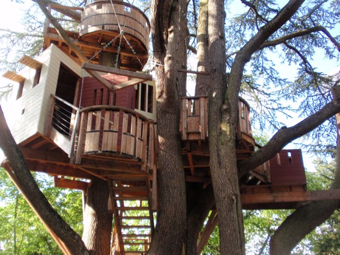 Интересные идеи по размещению домов на деревьях (40 фото)
