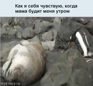 Жизненные ситуации в прикольных картинках. Часть 7 (13 гифок)