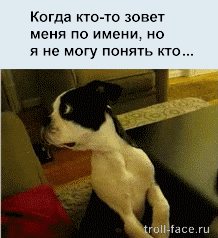 Жизненные ситуации в прикольных картинках. Часть 7 (13 гифок)