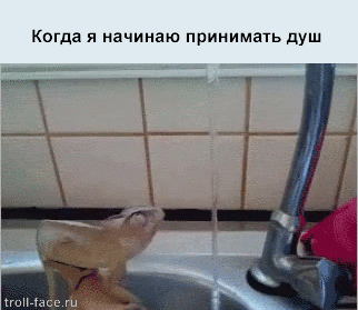 Жизненные ситуации в прикольных картинках. Часть 7 (13 гифок)