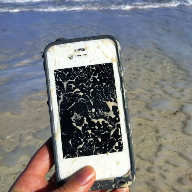 Прикольные iPhone Cases