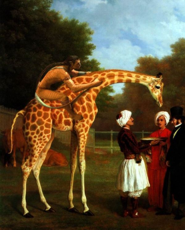 Жирафная фотожаба (46 рисунков)