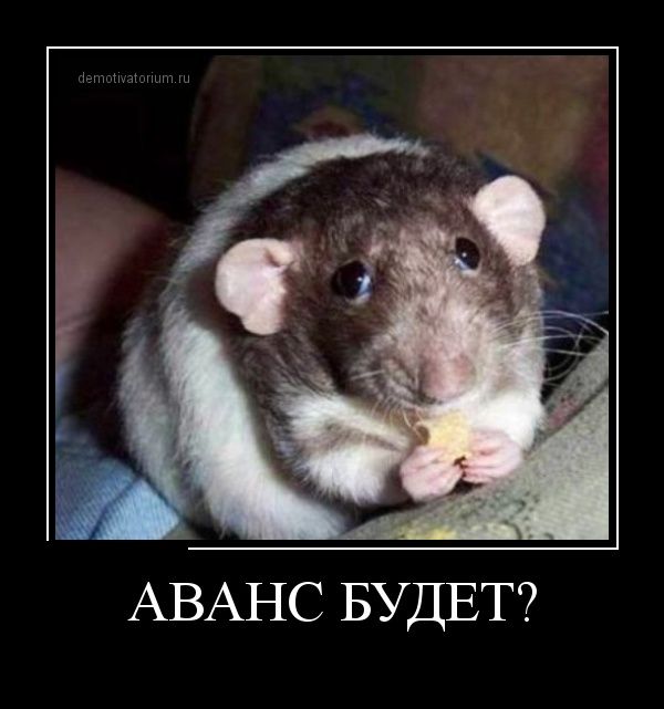 Демотиваторы (30 фото)