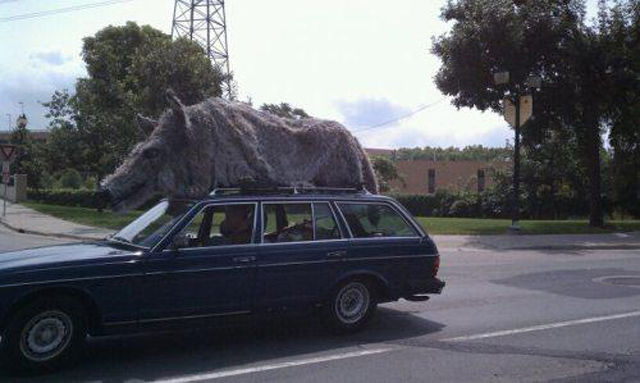 Странные и необъяснимые снимки