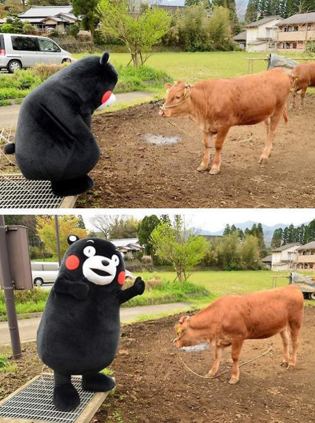 Странные и необъяснимые снимки