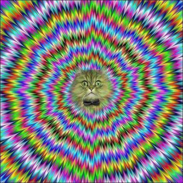 Странные и необъяснимые снимки