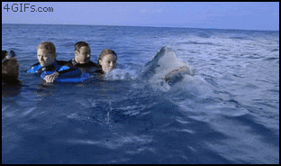 Анимация в стиле "Пронесло" (21 гифка)