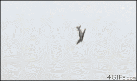 Анимация в стиле "Пронесло" (21 гифка)