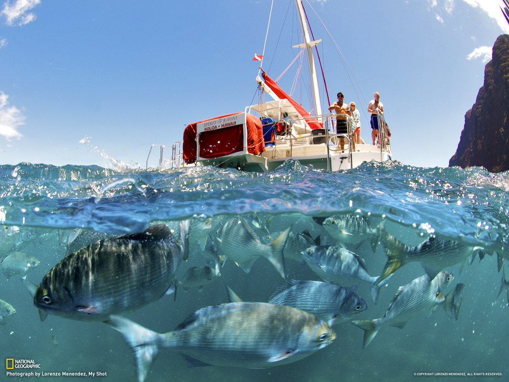 Прикольные и интересные картинки обо всем на свете.