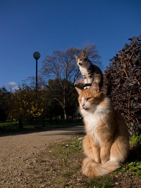 Прикольные и интересные картинки обо всем на свете.