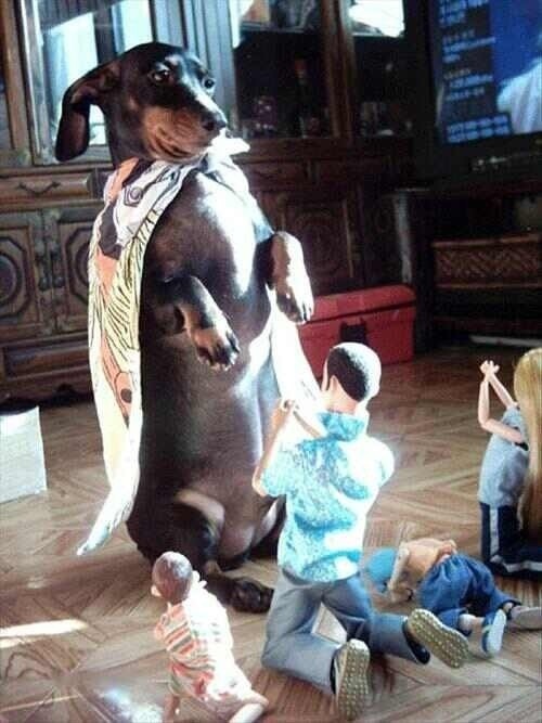 Прикольные и интересные картинки обо всем на свете.