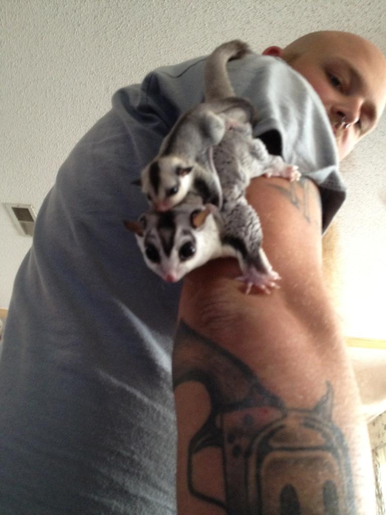 Прикольные и интересные картинки обо всем на свете.