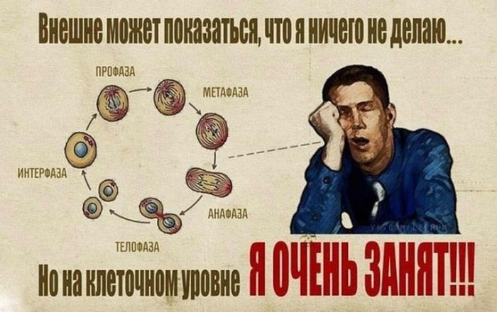 Прикольные и интересные картинки обо всем на свете.