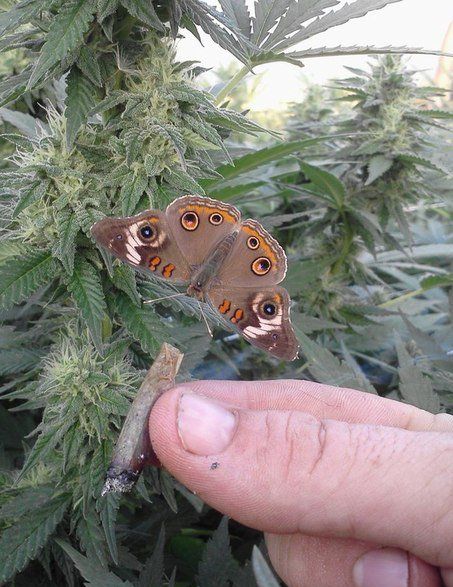 Прикольные и интересные картинки обо всем на свете.