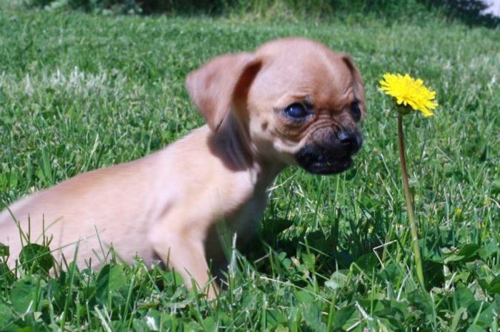 Прикольные и интересные картинки обо всем на свете.