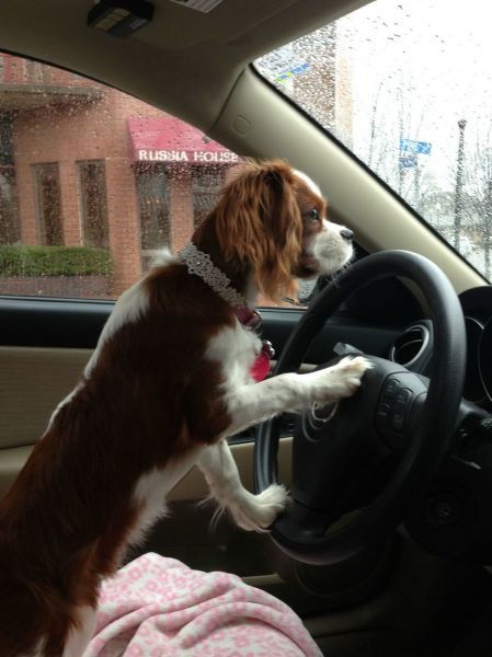 Прикольные и интересные картинки обо всем на свете.