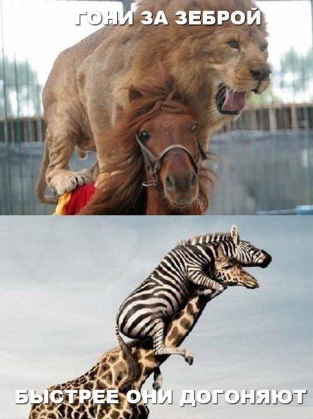 Прикольные и интересные картинки обо всем на свете.