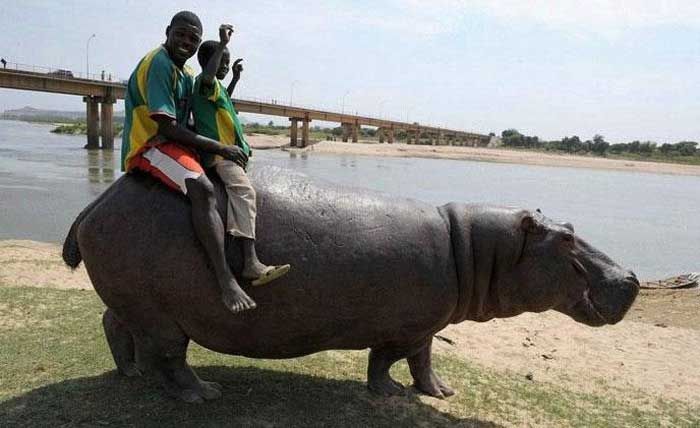 Прикольные и интересные картинки обо всем на свете.