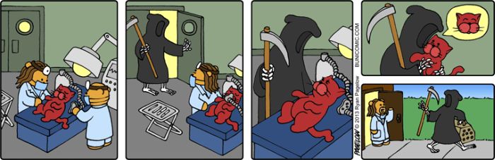 Прикольные и интересные картинки обо всем на свете.