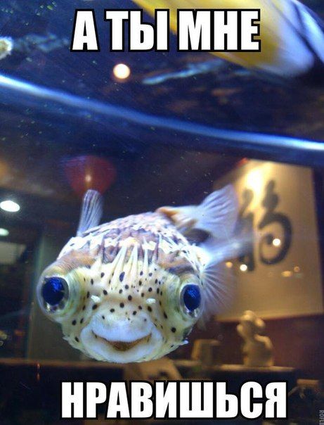 Прикольные и интересные картинки обо всем на свете.