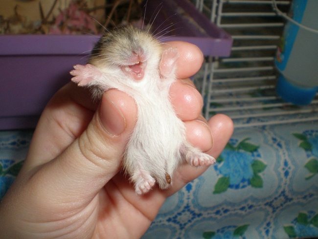 Прикольные и интересные картинки обо всем на свете.