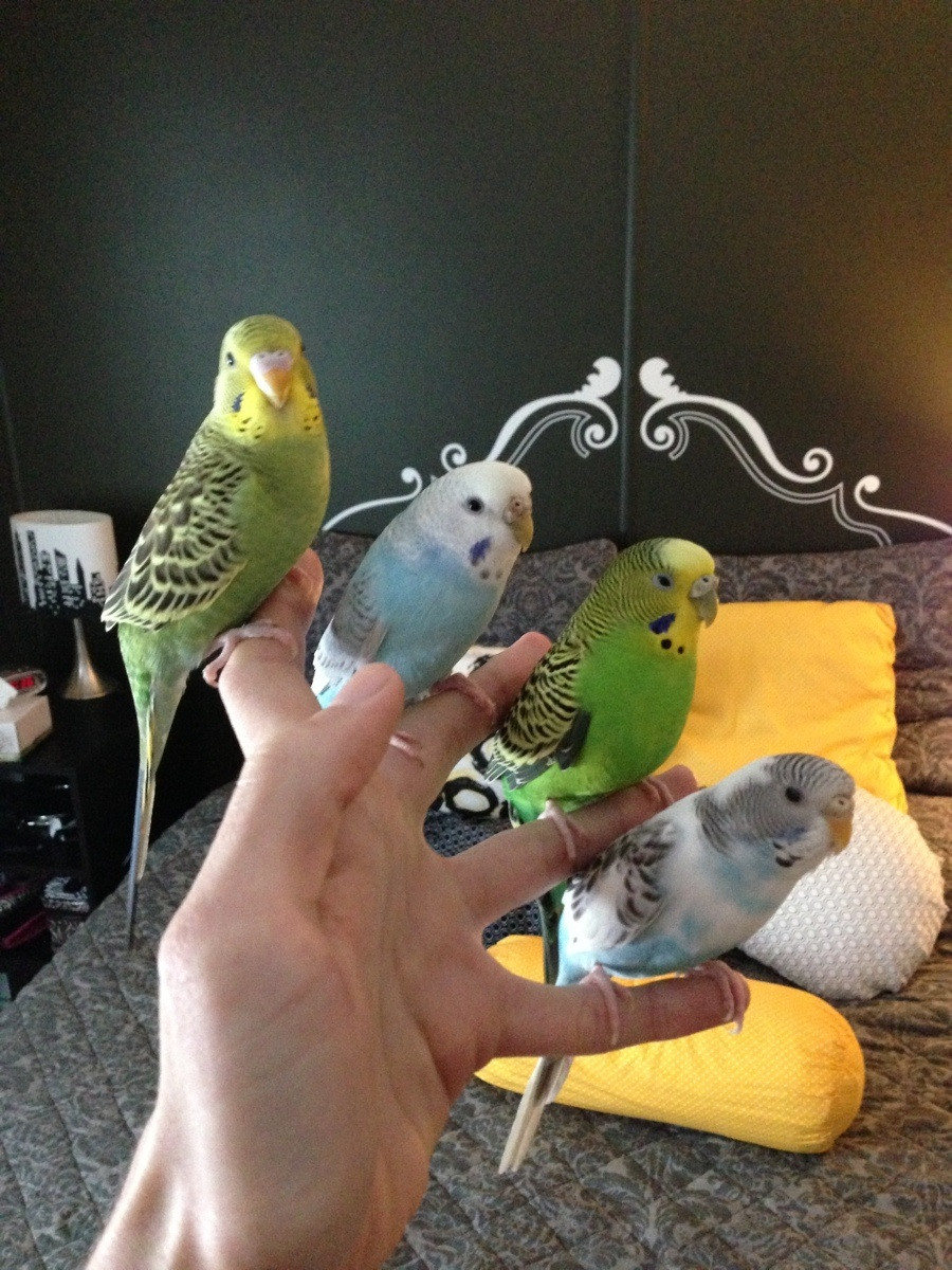 Прикольные и интересные картинки обо всем на свете.